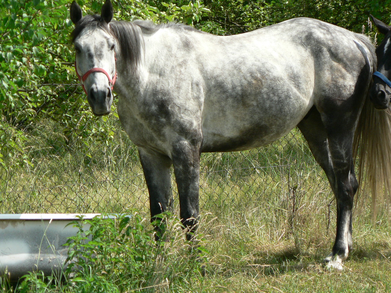 Snímek 024.jpg