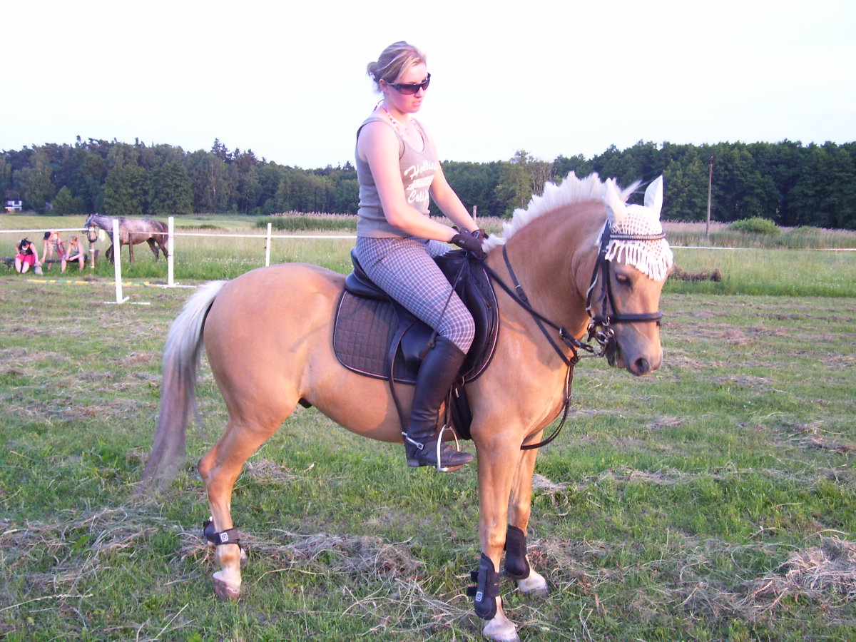 100_2542.JPG